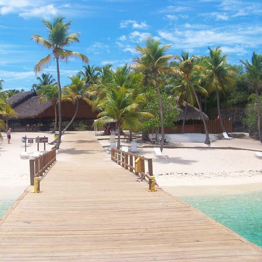 Catalina Island DayTrip + Great Snorkeling - Dominican Republic