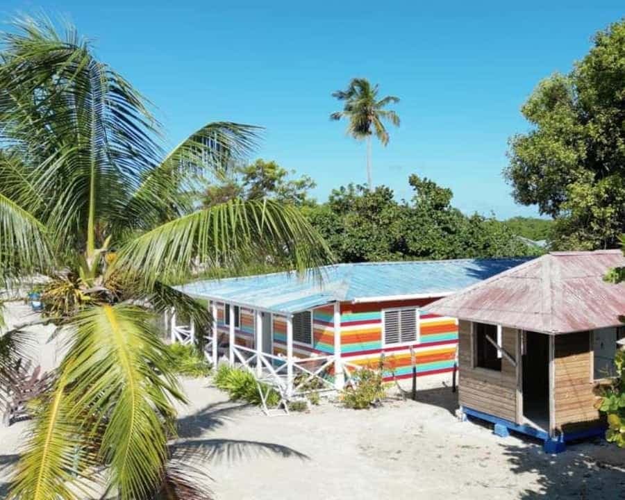 From Punta Cana: Saona Island Tour with BBQ Lunch - Dominican Republic