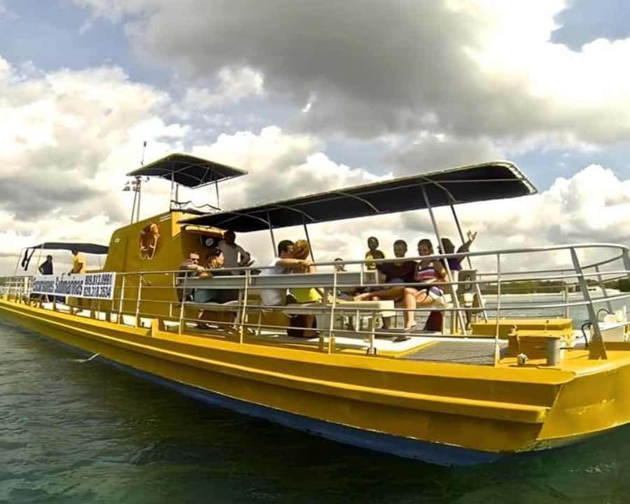 Saona Island Day Trip with Lunch and Open Bar at Punta Cana - Dominican Republic