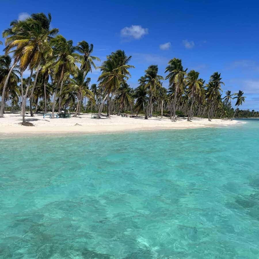 From La Romana: Saona Island All-Inclusive Day Trip - Dominican Republic