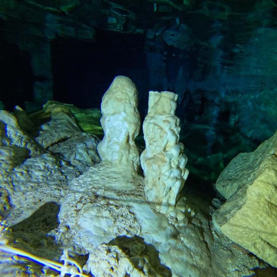 Punta Cana: Diving in Cavernes or Cenotes - Dominican Republic