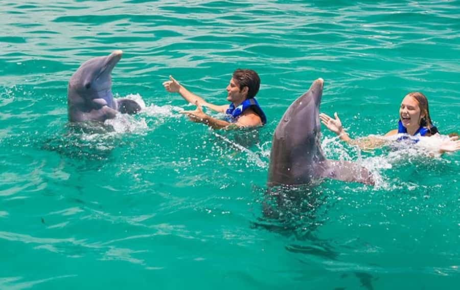Punta Cana Dolphin Adventure: 40-Minute Interaction - Dominican Republic