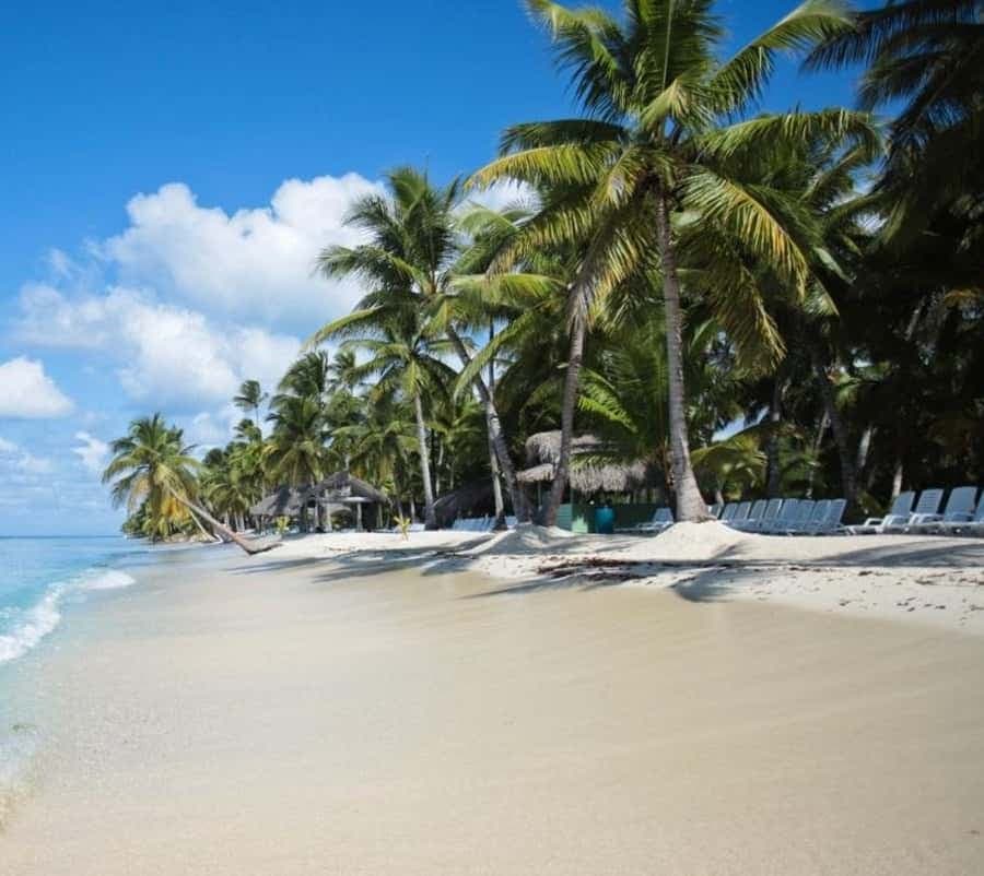 Saona Island all day with lunch and open bar departing from Punta Cana - Dominican Republic