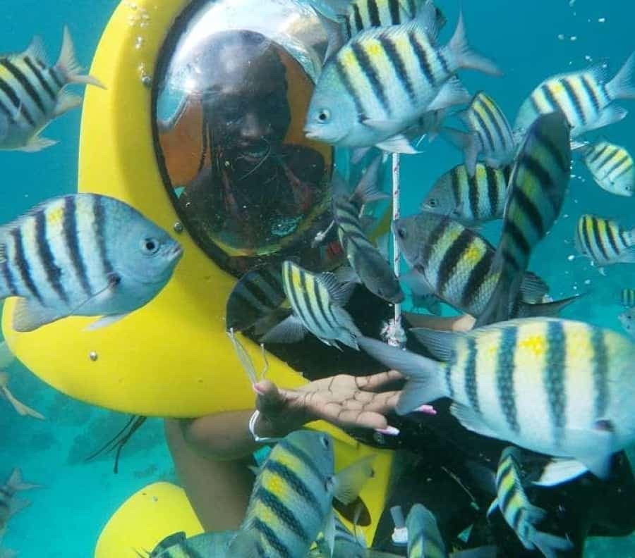 Scubadoo Punta Cana Diving Adventure - Dominican Republic