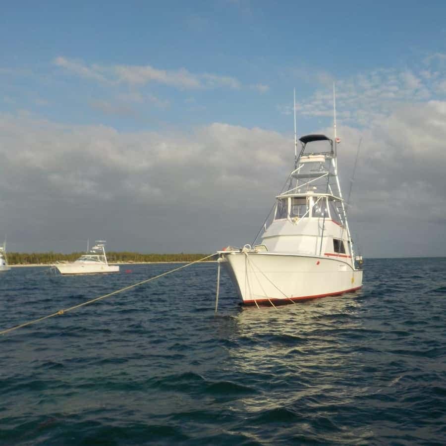 4 hours of deep sea fishing from Bavaro Punta Cana - Dominican Republic