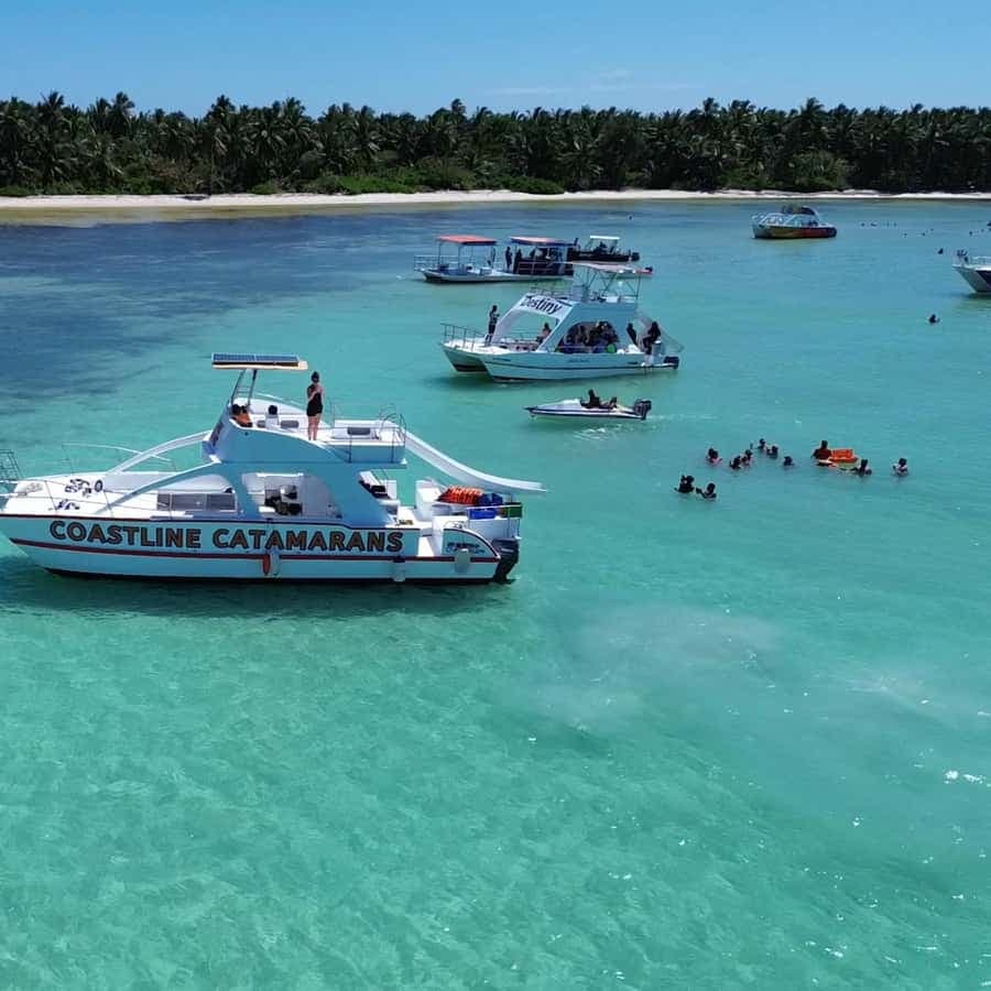 Punta Cana: Catamaran Tour with Reef Snorkeling and Open Bar - Dominican Republic