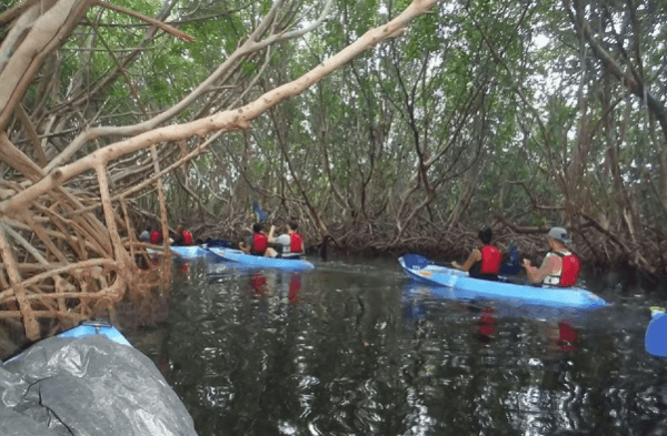 From San Juan: Bioluminescent Bay Kayak Adventure at Night - Dominican Republic