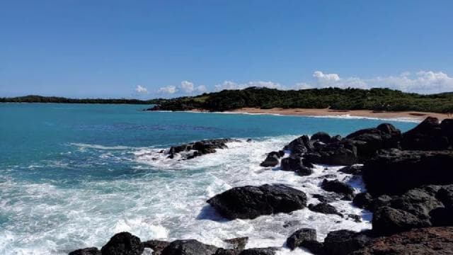 Fajardo: Hidden Beach and Mangrove Tour - Dominican Republic