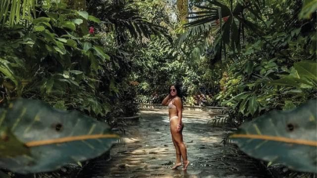 San José: Arenal Volcano and Hot Springs with Lunch - Dominican Republic
