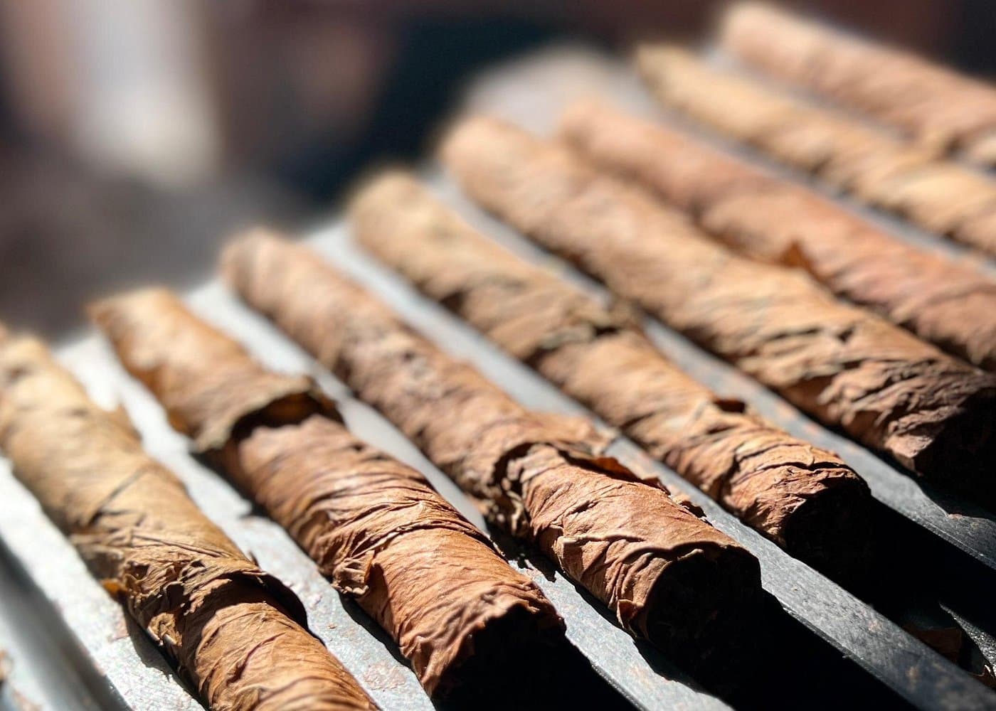 Roll Your Own Cigar in Miami - Dominican Republic