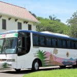 Punta Cana: Private Roundtrip Airport Transfer - Dominican Republic