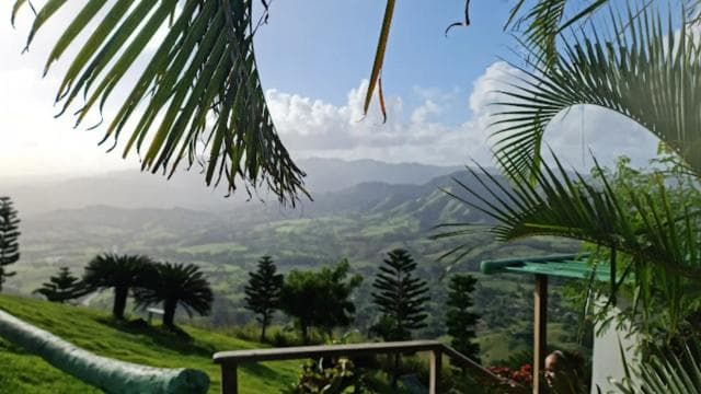 for Small Groups Half-Day Tour to Montaña Redonda - Dominican Republic
