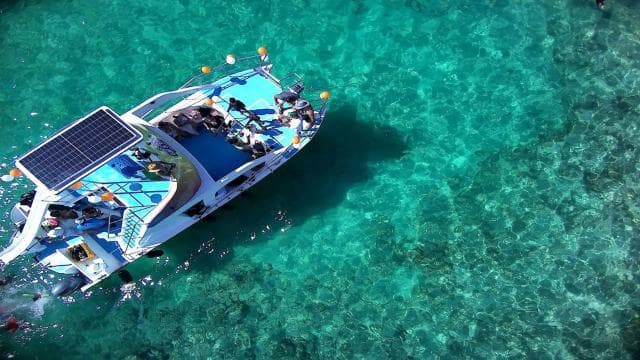 Punta Cana: Catamaran Party Cruise, Snorkeling and Open Bar - Dominican Republic