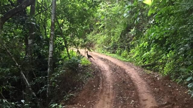The Explorer Waterfall Tour - Dominican Republic