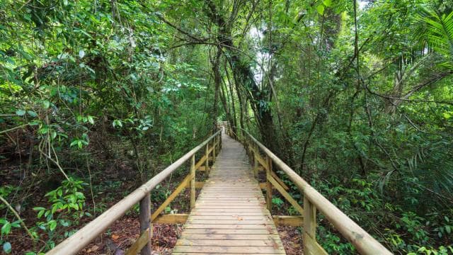 1 hour 45 minutes Crocodile Adventure Tour in Tarcoles River - Dominican Republic