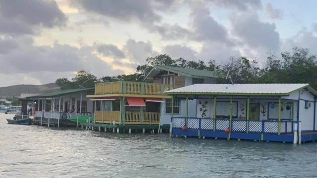 From San Juan: La Parguera Glowing Bio Bay Boat Tour - Dominican Republic