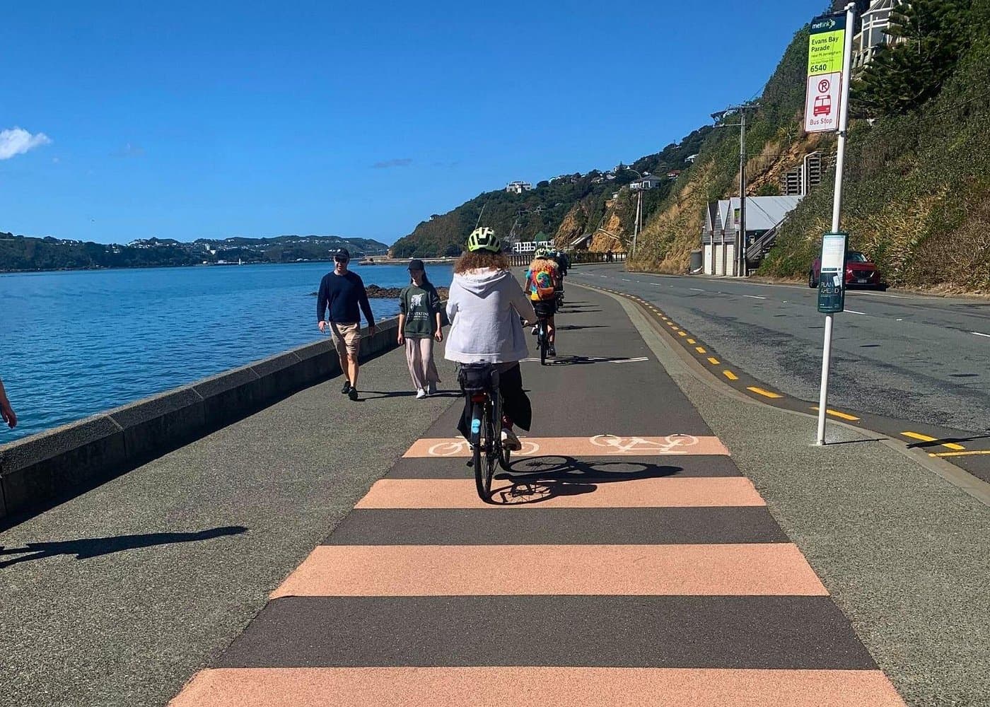Wellington Electric Bike Rental - Dominican Republic