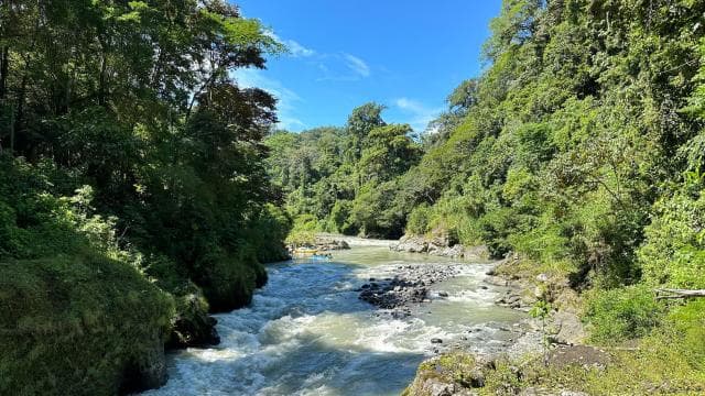 Pacuare River Rafting - Dominican Republic