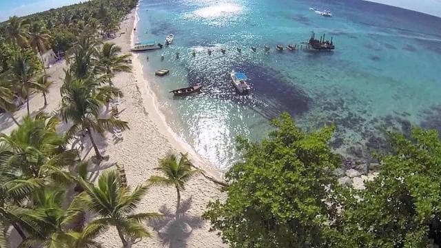 Saona Island: Relaxation Day Trip with Open Bar - Dominican Republic