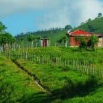 Full Day Cultural Tour in Dominican Republic - Dominican Republic