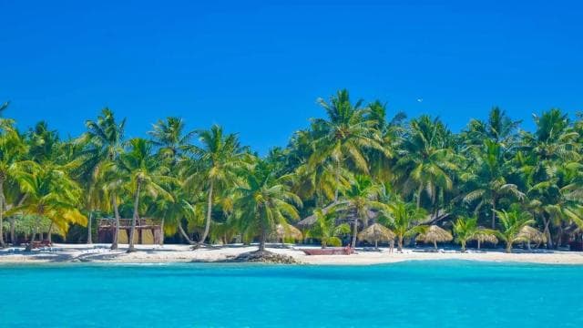Santo Domingo to Saona: A Tropical Adventure - Dominican Republic