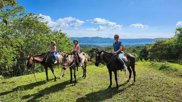 CRParaiso: Horseback Riding Adventure - Dominican Republic
