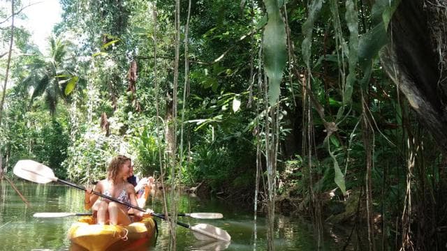 Punta Uva: Kayak and Sloth Watching Tour - Dominican Republic