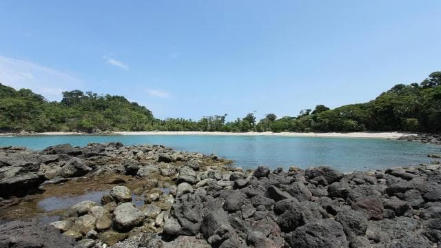 Manuel Antonio surf lessons - Dominican Republic