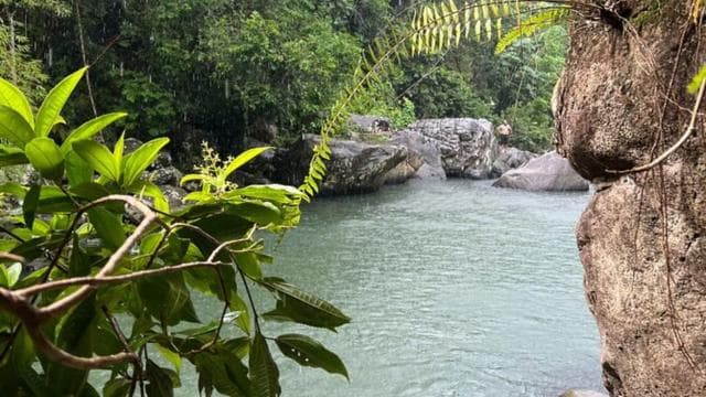 Luquillo: Rainforest Adventure with Food & Photos - Dominican Republic