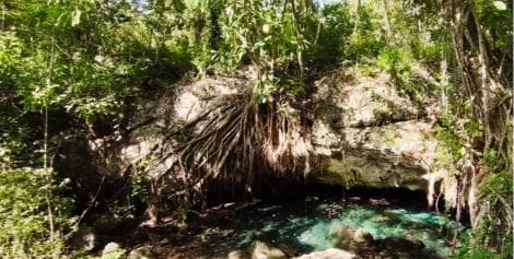 Bayahibe: Dschungelwanderung im Nationalpark und Schnorcheln in Cenoten - Dominican Republic