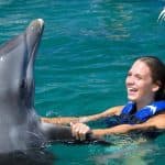 Dolphin Swim in Punta Cana – Best 60-min Dolphin Discovery - Dominican Republic