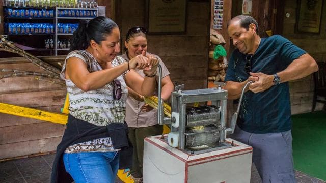 Monteverde: Coffee, Chocolate, and Sugar Cane Day Trip - Dominican Republic