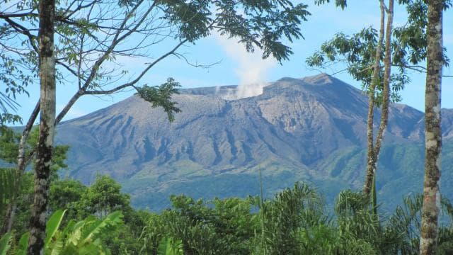 The Blue River Resort & Hot Springs: Full-Day Adventure - Dominican Republic