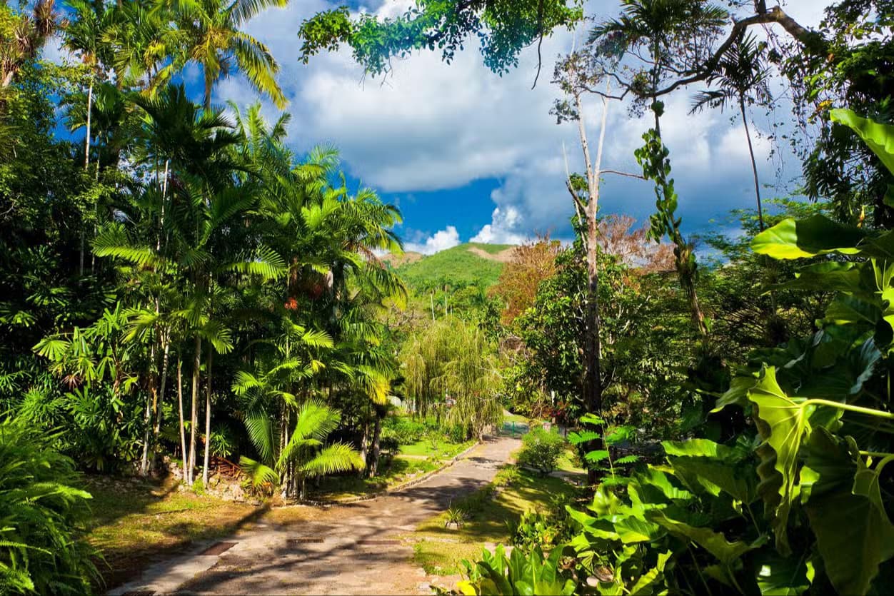 Las Terrazas & Soroa Waterfalls Day Trip - Dominican Republic