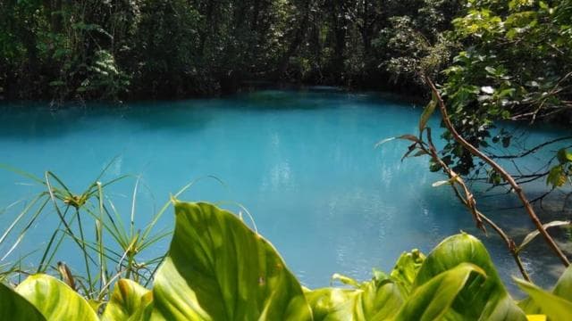 Papagayo Gulf: Rio Celeste Waterfall & Sloth Encounter Tour - Dominican Republic