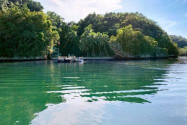 Samana: Los Haitises & Cano Hondo Overnight Tour - Dominican Republic
