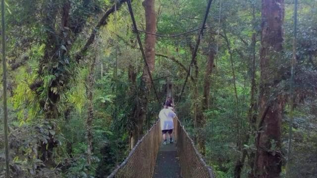 Guanacaste: Rainforest, Sloths, & Nature Day Trip with Lunch - Dominican Republic