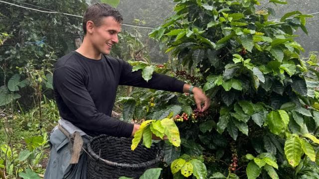Zagala Nueva: Costa Rican Coffee Experience in the Mountains - Dominican Republic