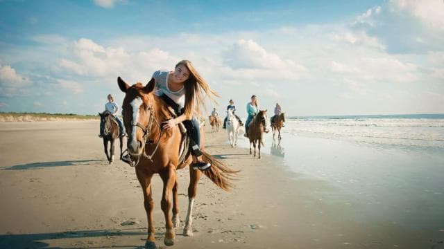 Tamarindo: Horseback to Tamarindo Beach - Guanacaste, CR - Dominican Republic