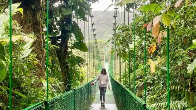 Monteverde: Cloud Forest Hanging Bridges Guided Tour - Dominican Republic