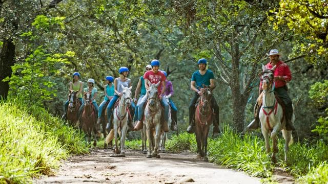 Horseback Riding Tour to the Oropéndola Waterfall - Dominican Republic