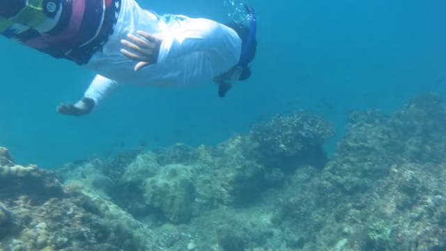 Playa Uvita: Caño Island Snorkeling Tour with Lunch - Dominican Republic