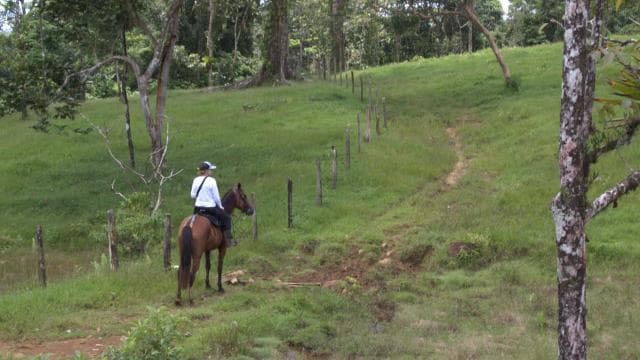 Private Horseback Riding - Río Celeste - Dominican Republic