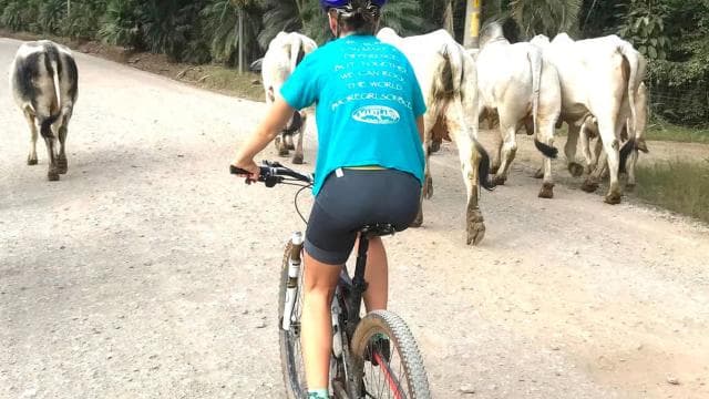 Jungle Mountain Bike Tour & Waterfall Swim - Dominican Republic