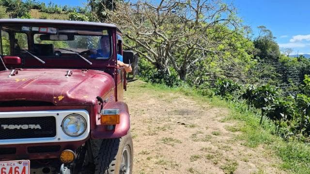 Exploration and Adventure: Toyota Land Cruiser Ride & Hike - Dominican Republic