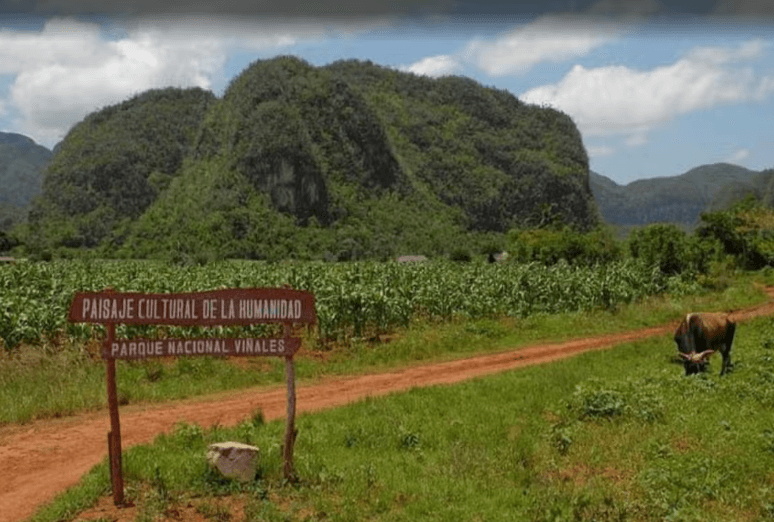 Viñales Valley Private Classic Car Tour - Dominican Republic