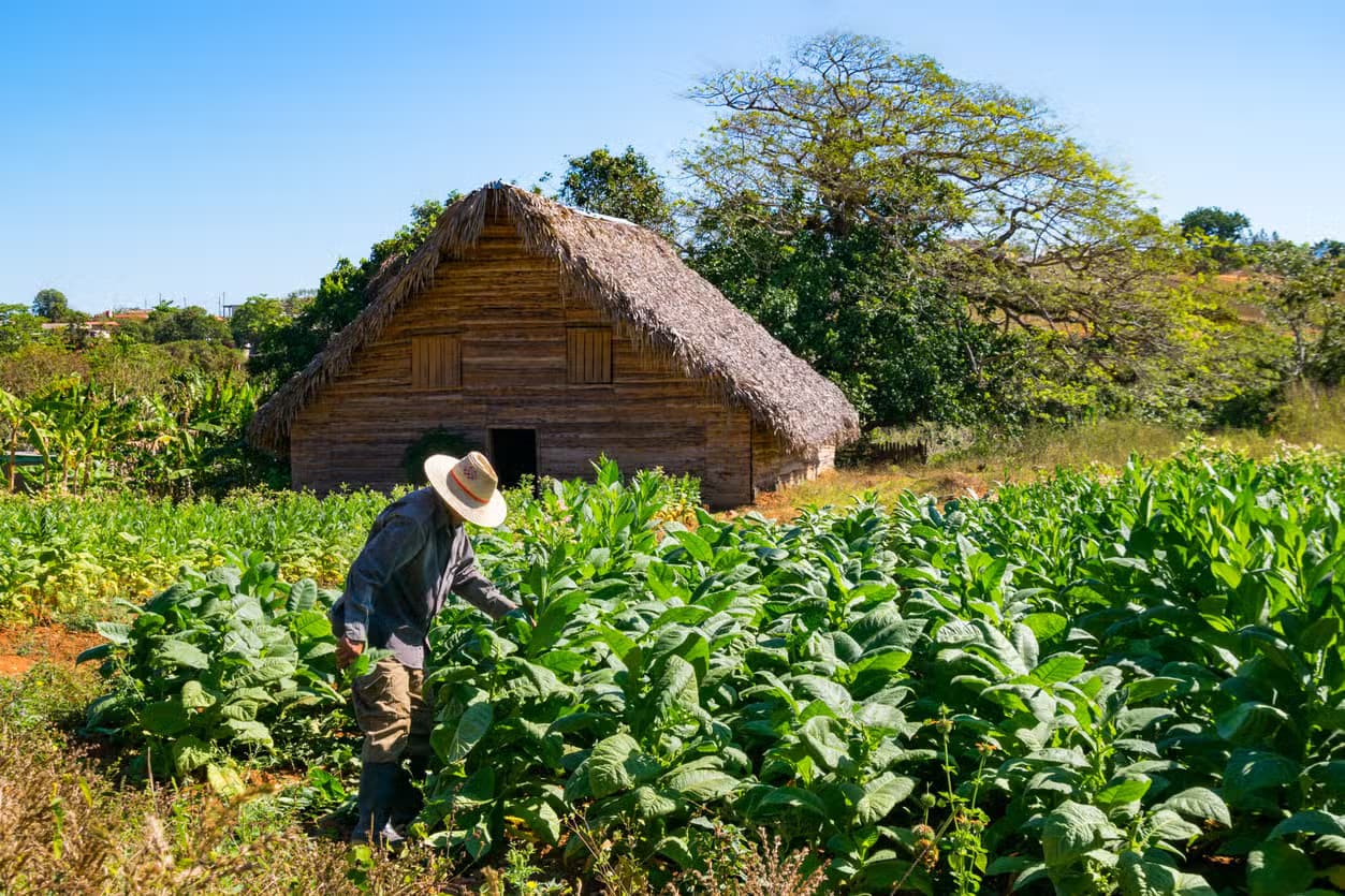Valle de Viñales 2-Day Excursion - Dominican Republic