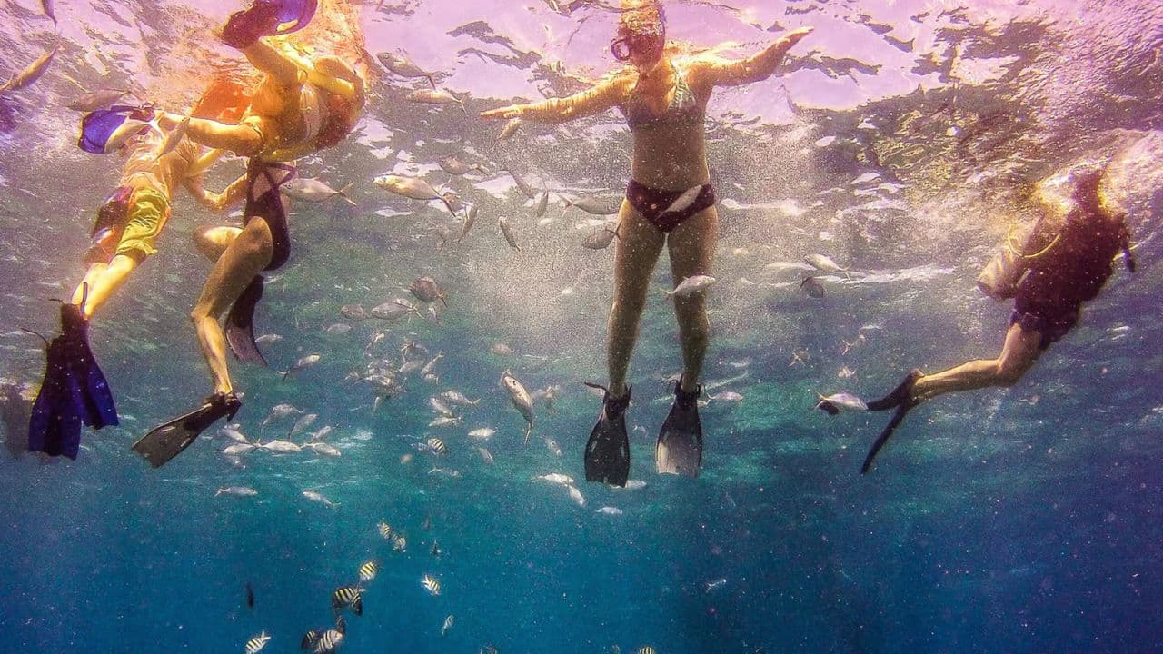 La Romana: Catalina Island Full-Day Snorkeling Tour - Dominican Republic