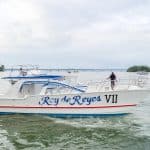Whale Watching and Cayo Levantado Island Combo Tour - Dominican Republic
