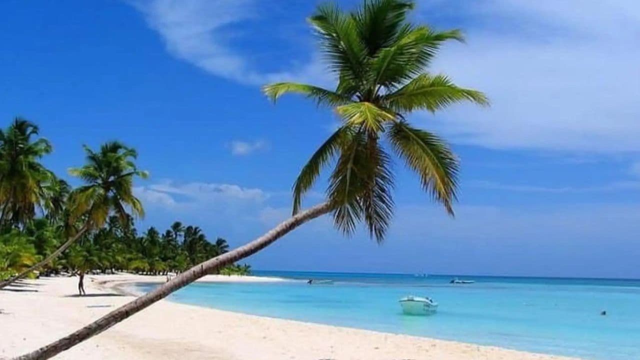 All-Inclusive Saona Island Day Trip from Punta Cana - Dominican Republic